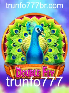 Explorando o Mundo de DoubleFly: Um Guia Completo